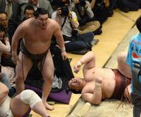 �@�H���̗��i�E���j�����|���Ŕj�������Q�i�B�e�E���؍��F�j