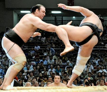 �@�Չ��F�������o���ň����т�j�遁���m���̈��